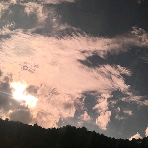 Free老太太hd性满足bDW
